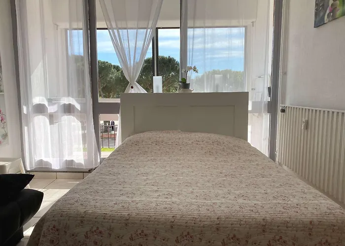 Appartement 1ere Etage Avec Wifi, Vue Sur Parc - Fr-1-553-24 Balaruc-les-Bains